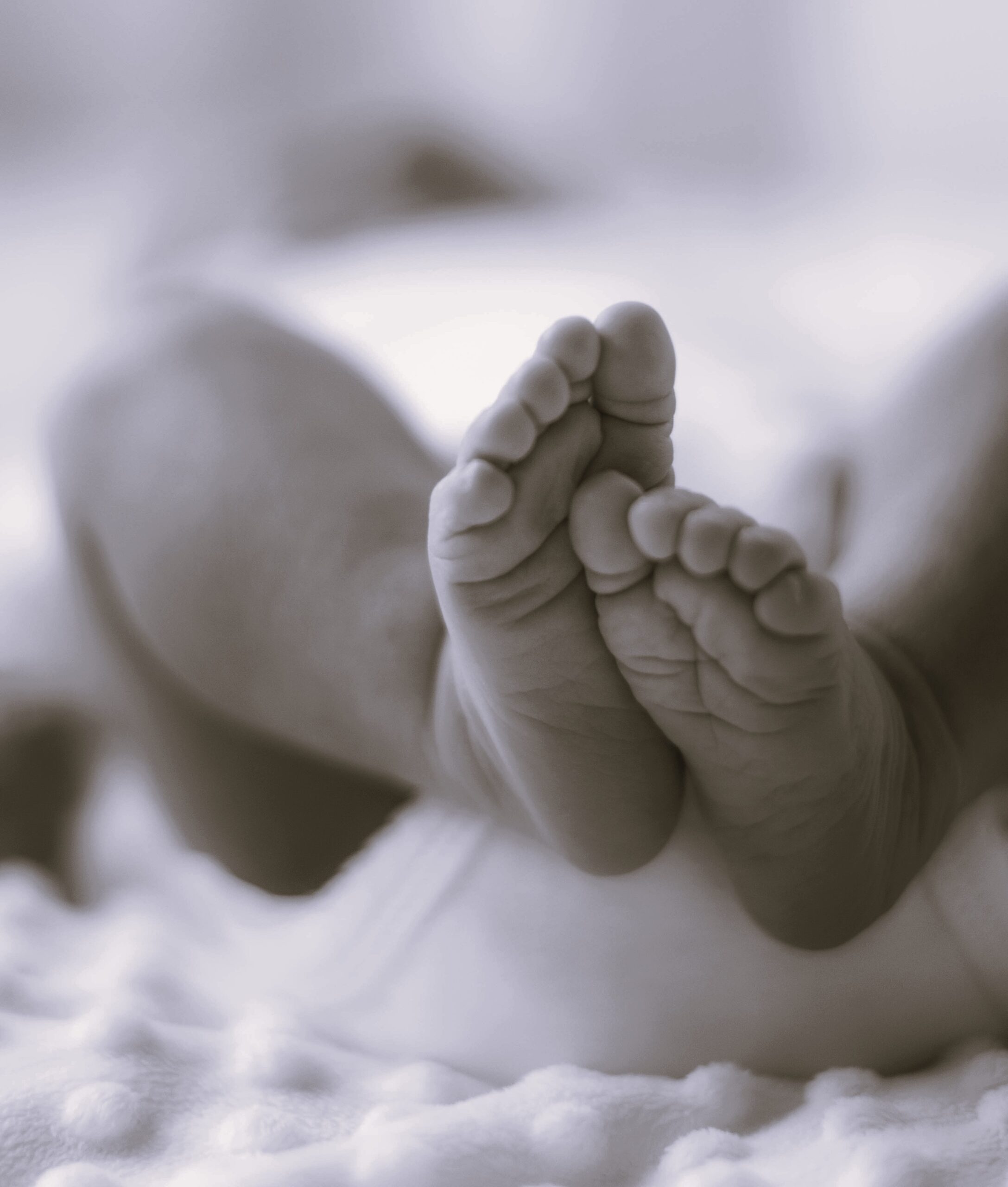 juan manuel sanchez ltua 3lkgl8 unsplash